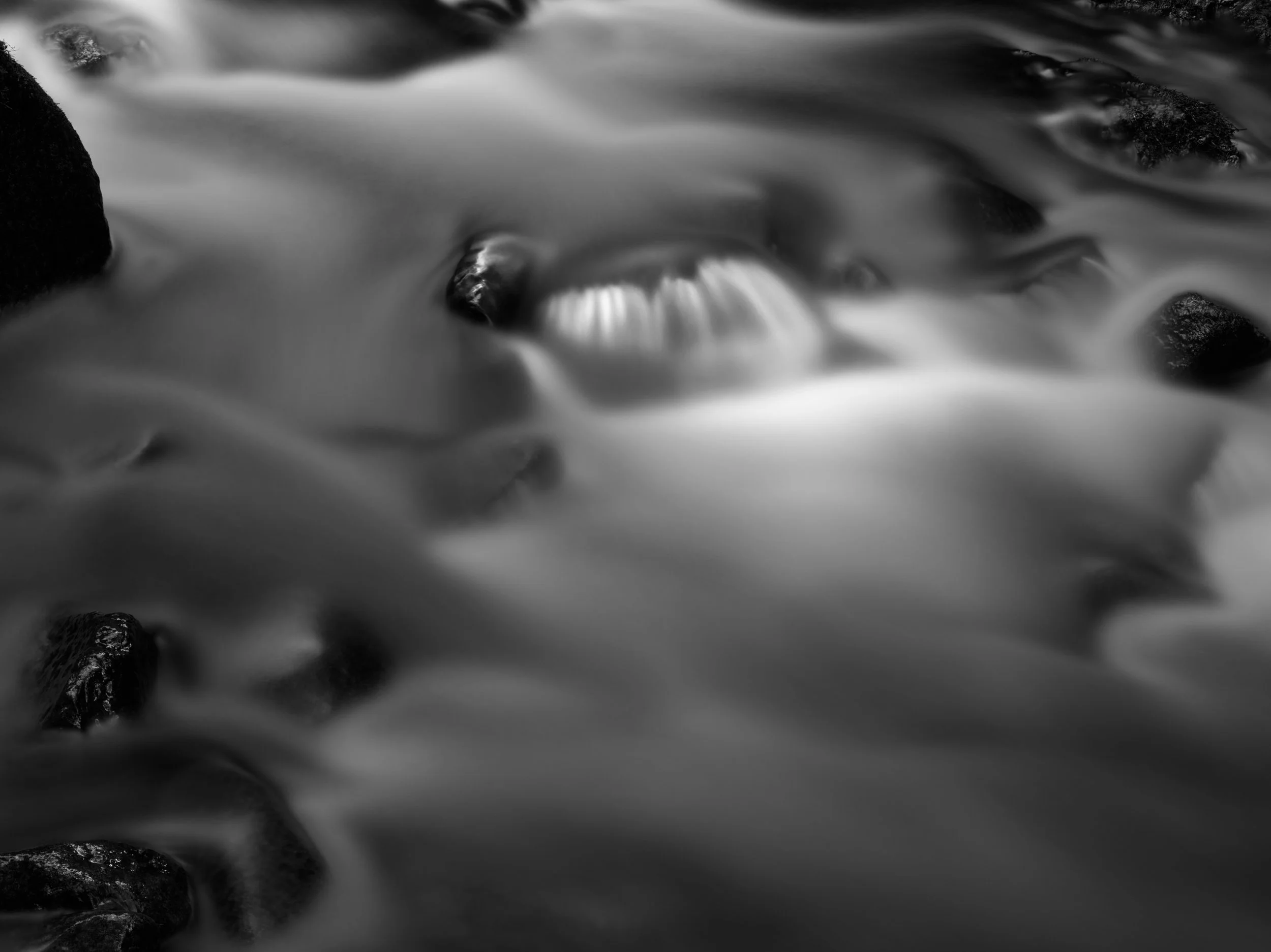 Rain-forest Stream XVII